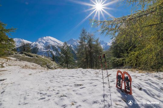 raquettes
