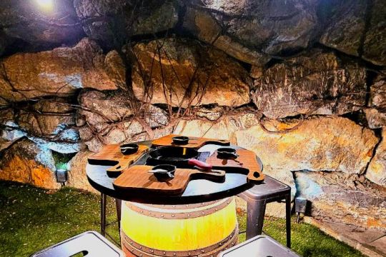 Brasero exterieur pour grillades ou raclette